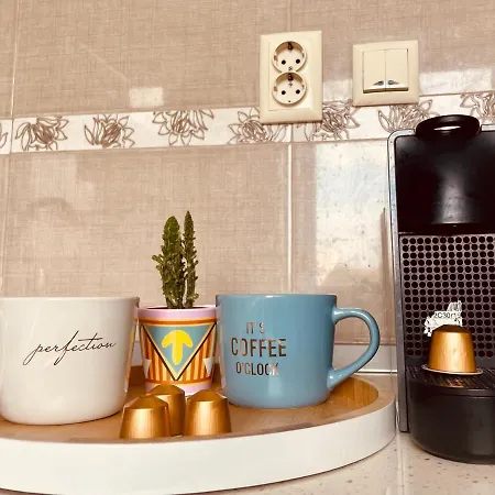 Апартаменты Apartament Тимишоара