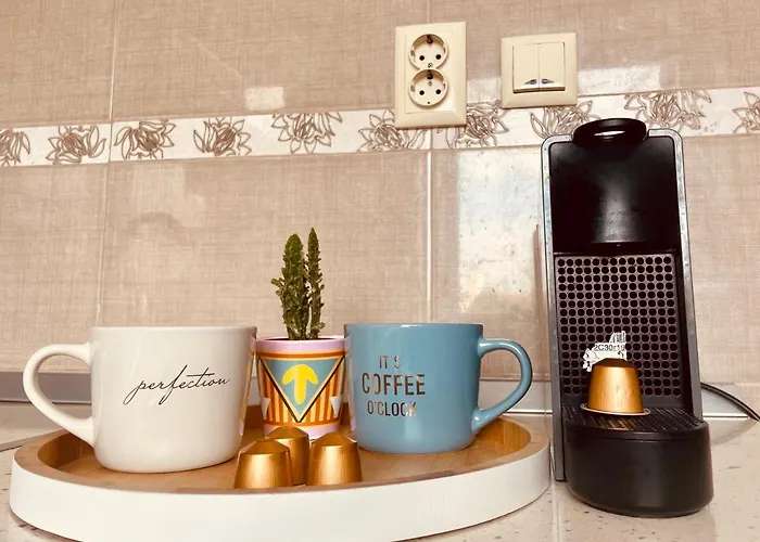 Апартаменты Apartament Тимишоара